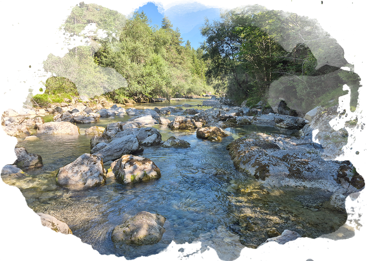 Naturerfahrung – Alpiner Bach in der Natur